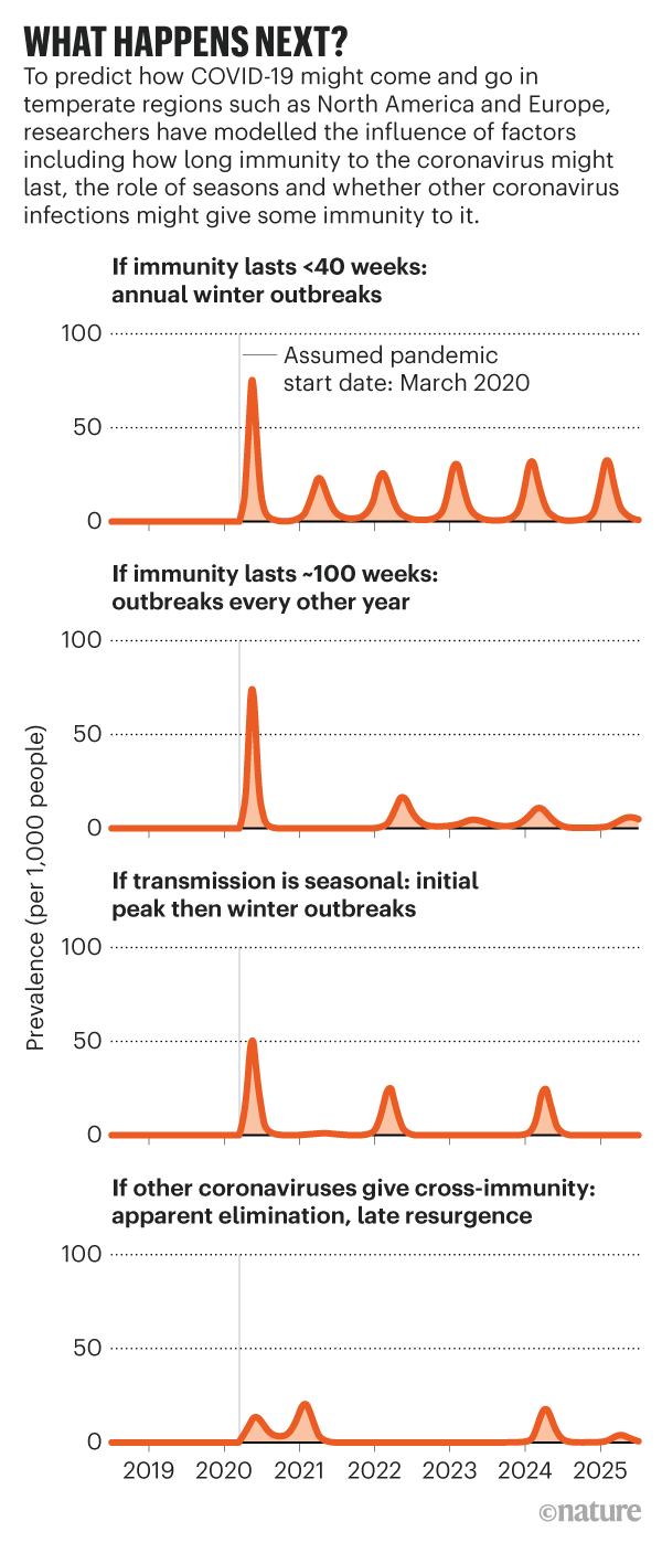 Grafico che mostra come l'immunità e il ruolo delle stagioni potrebbero influenzare le regioni temperate in futuro.