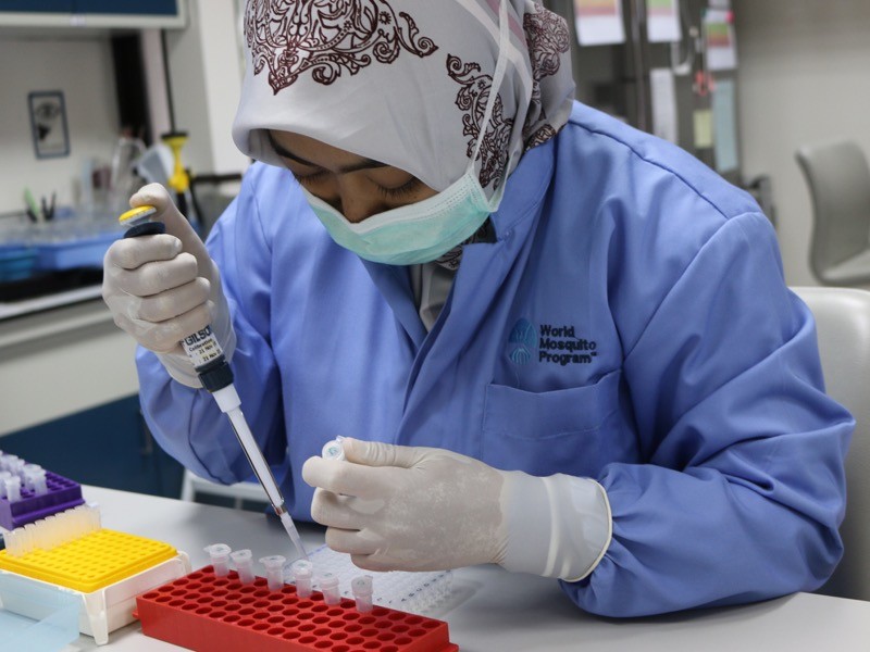 Il personale del laboratorio prepara i campioni.