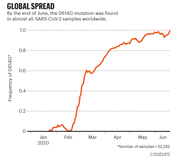 Global spread: Graph showing the global rise of the D614G coronavirus mutation.
