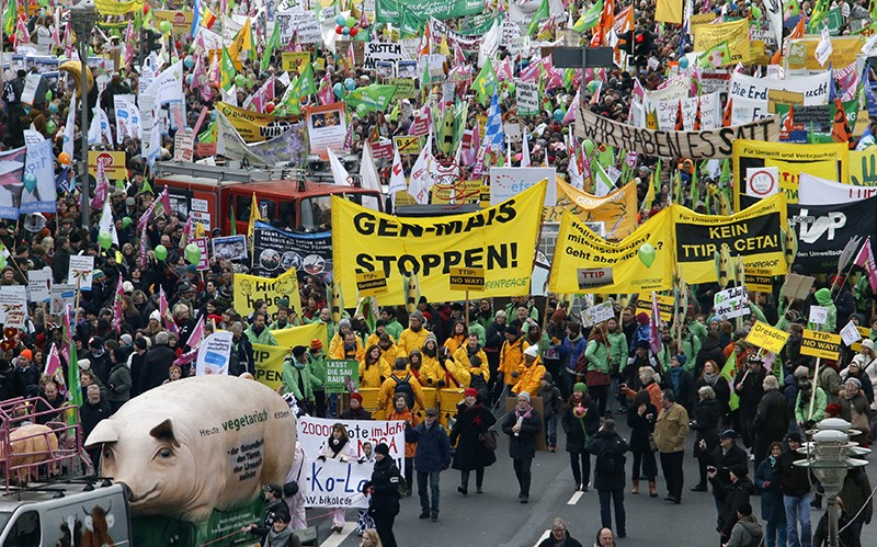 A crowded protest march, including many people with green or yellow flags. Those in the foreground carry a large model pig.