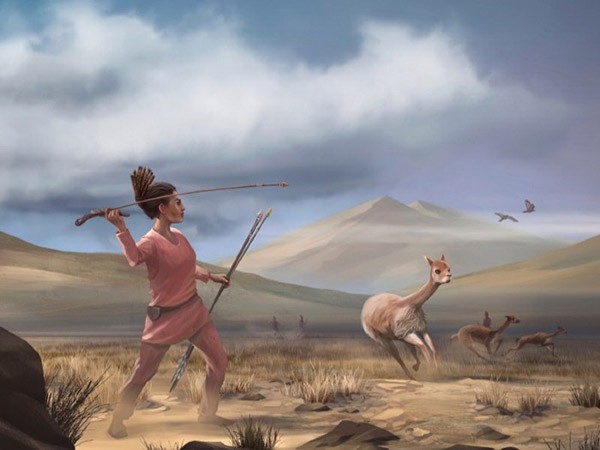 Artist reconstruction of Wilamaya Patjxa vicuña hunt.