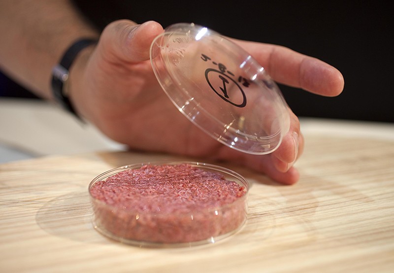A culture dish containing lab-grown meat