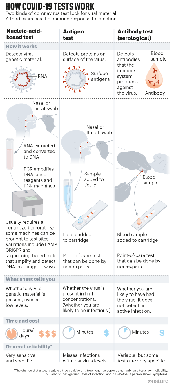 Rapid Coronavirus Tests A Guide For The Perplexed