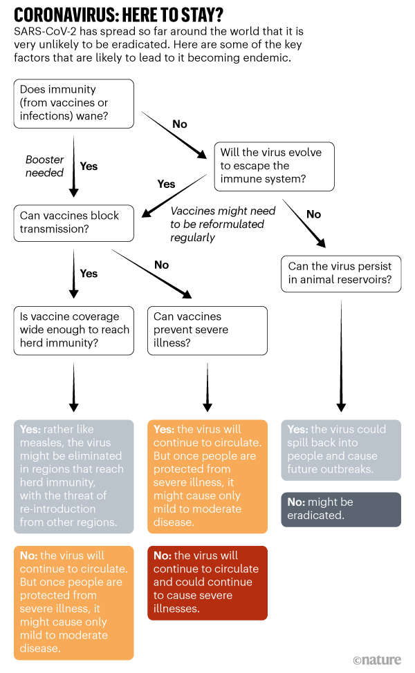 CORONAVIRUS: HERE TO STAY. Graphic showing some of the key factors that are likely to lead to SARS-CoV-2 becoming endemic.