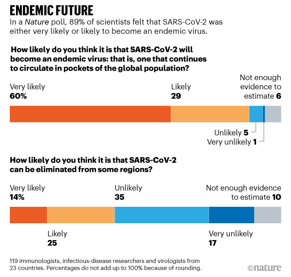 FUTURO ENDÉMICO.  Una encuesta de Nature muestra que el 89% de los científicos cree que es probable que el SARS-CoV-2 se convierta en un virus endémico.