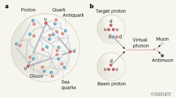 Antimatter In The Proton Is More Down Than Up