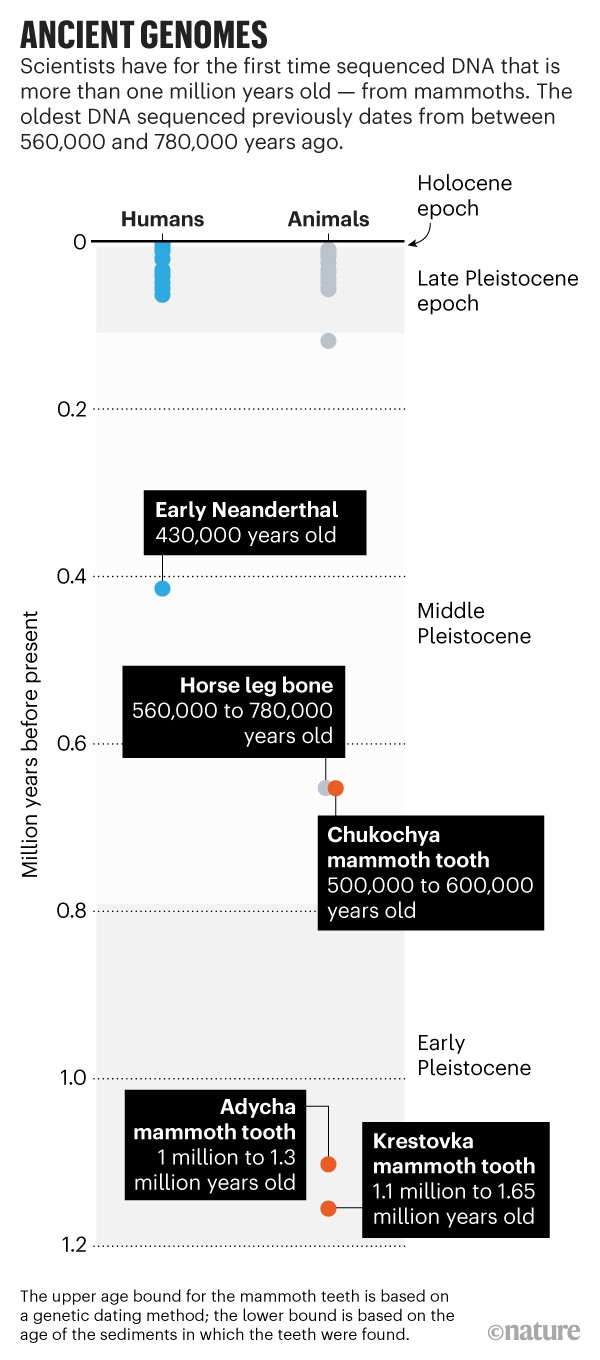 Genomas antigos: linha do tempo mostrando as idades do DNA humano e animal mais antigo que foi sequenciado.