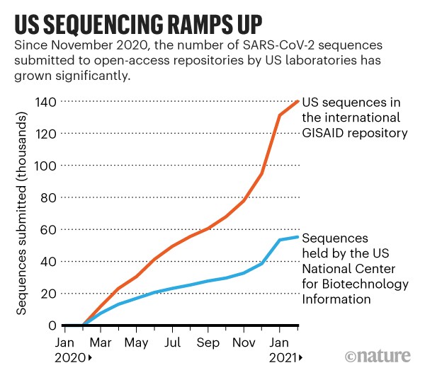 US sequencing ramps up: Line chart showing number of SARS-Cov-2 sequences submitted to open-access repositories.