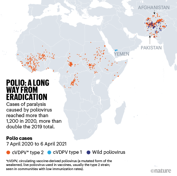 Polio: A long way from eradication. Map showing polio cases in Africa and Asia.