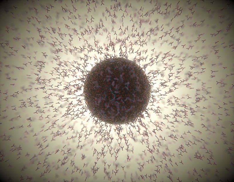 Illustration of dozens of Y-shaped antibodies converging on a spherical virus.