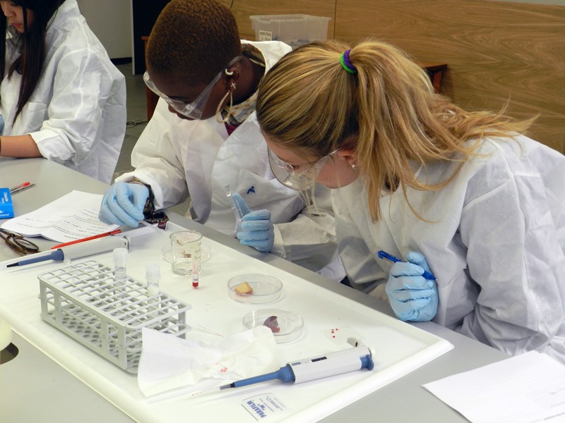 Students from local schools investigate biochemistry in a masterclass from the Crick.