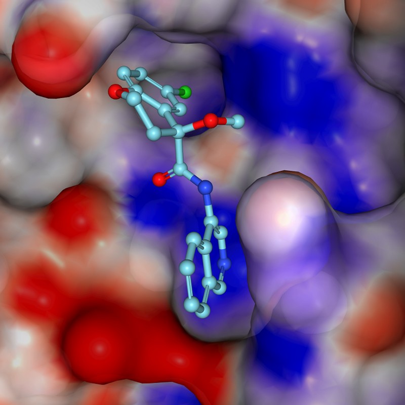 Crystal structure of compound (turquoise) bound within the active site of the COVID-19 main protease