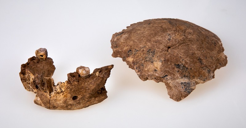 The Neher Ramla mandible and skull