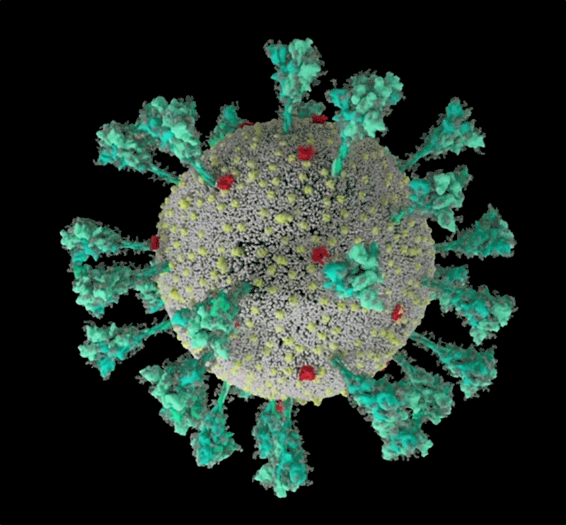Animated sequence of the SARS-CoV-2 virus.