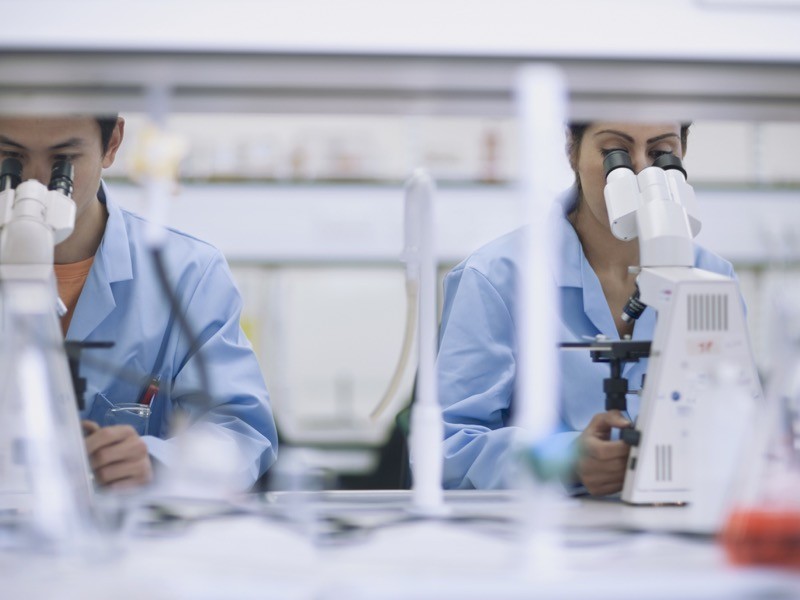 Scientists working in laboratory with microscopes.