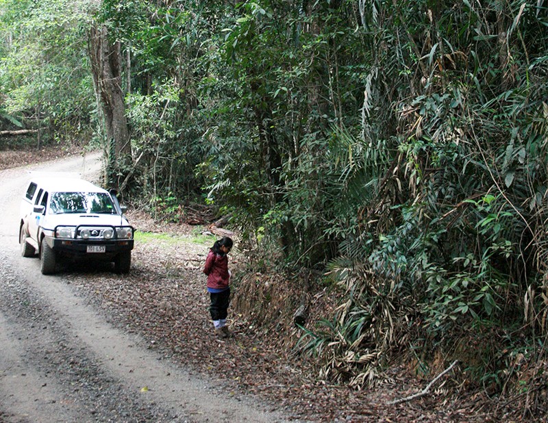 Sonal Singhal is photographed searching for lizards during fieldwork in Australia.