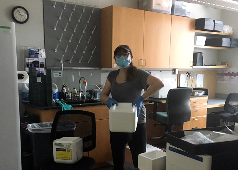 A woman in a mask packs laboratory samples into styrofoam boxes.