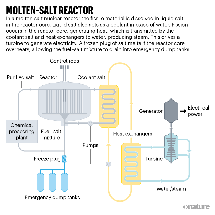 REACTOR DE SAL FUNDIDA.  Gráfico que muestra cómo funciona un reactor nuclear de sales fundidas.