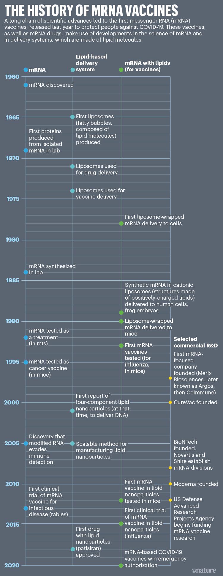 Historie mRNA vakcín: Časová osa, která ukazuje klíčové vědecké inovace ve vývoji mRNA vakcín.