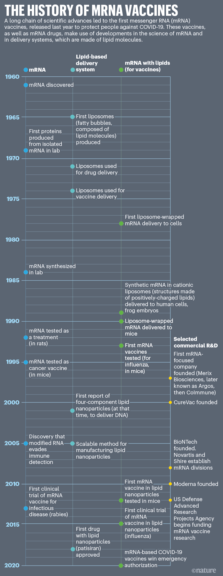 [Important] Info évolution de l'épidémie de Covid 19 - Page 5 D41586-021-02483-w_19660718