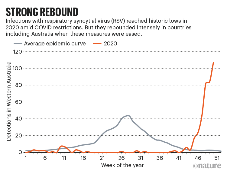 FORT REBOND: Chart comparing average annual respiratory syncytial virus cases in Western Australia with 2020