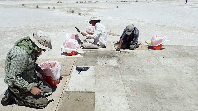 Scientists at the Wishbone site, excavating evidence for human tobacco use.