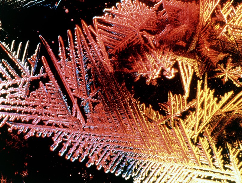 Coloured light micrograph of fluoride crystals