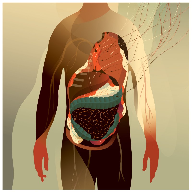 Cartoon of the human body showing major organs each with strings attached