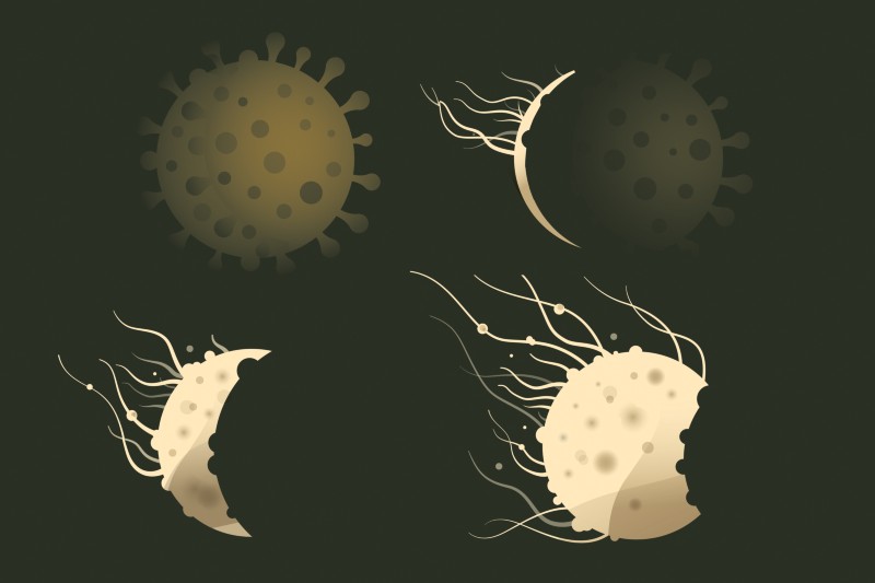Cartoon showing a coronavirus passing across and eclipsing a cancer cell
