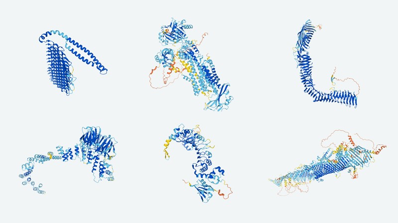 Three dimensional structures of six different protein structures modelled by AlphaFold