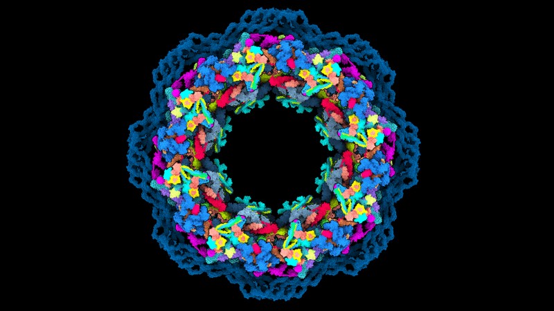 Struktur tiga dimensi kompleks pori nuklir manusia berbentuk cincin yang dimodelkan menggunakan AlphaFold