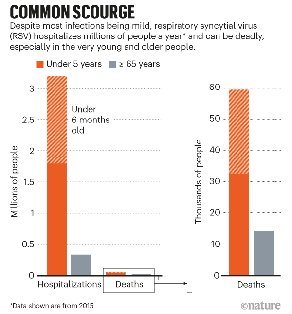 Common scourge: a graph that shows hospitalization and death rates from RSV in people aged under 5 and over 65, 2015.