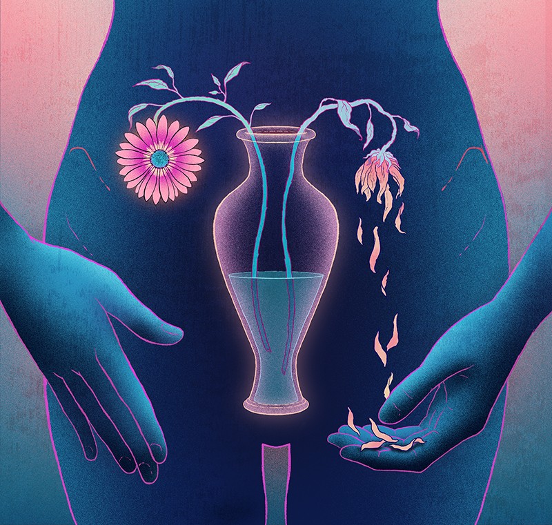 Cartoon in which a vase with two flowers, one of which is dying and shedding its petals, mimics the position of ovaries