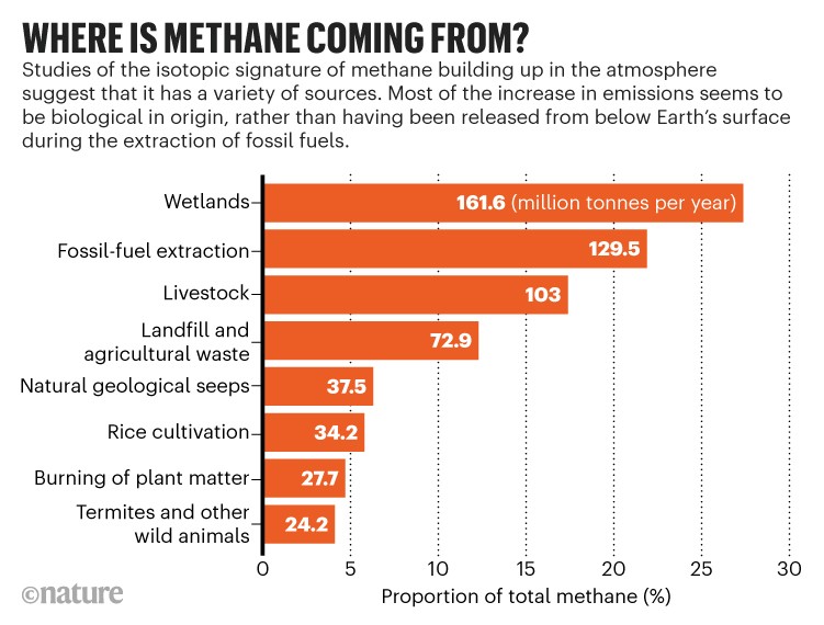 Where is methane coming from?: Bar chart showing proportions of total methane produced by various sources.