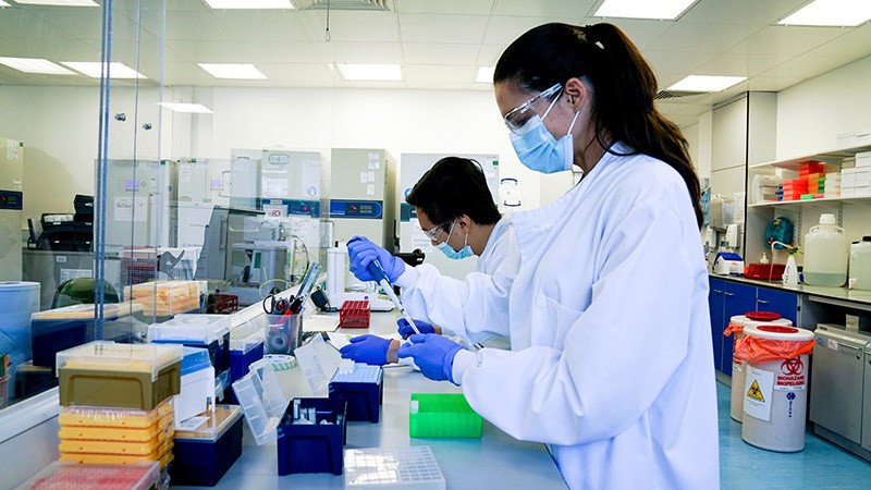 View of researchers at work in the hVIVO Lab.