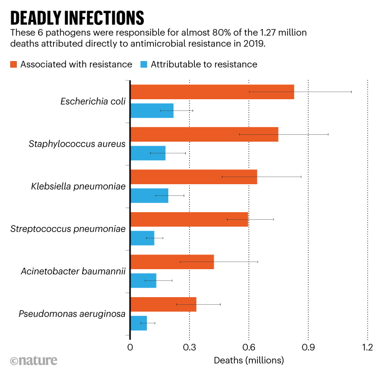 DEADLY INFECTIONS. Graphic showing the top 6 pathogens responsible for deaths to antimicrobial resistance in 2019.