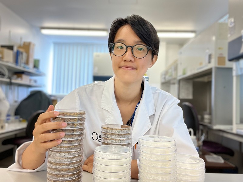 Jessica Chiang holding New Zealand native fungi growing on hemp agar