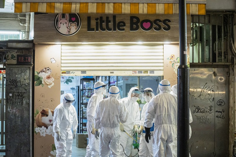 Workers in full PPE at the Little Boss pet store in Hong Kong