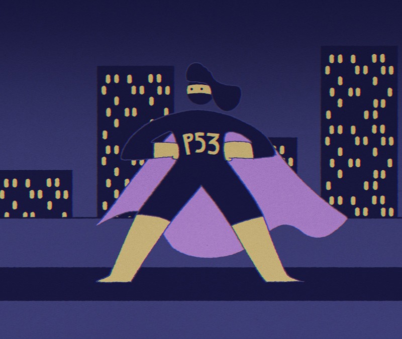 Cartoon characterizing p53 as a masked superhero