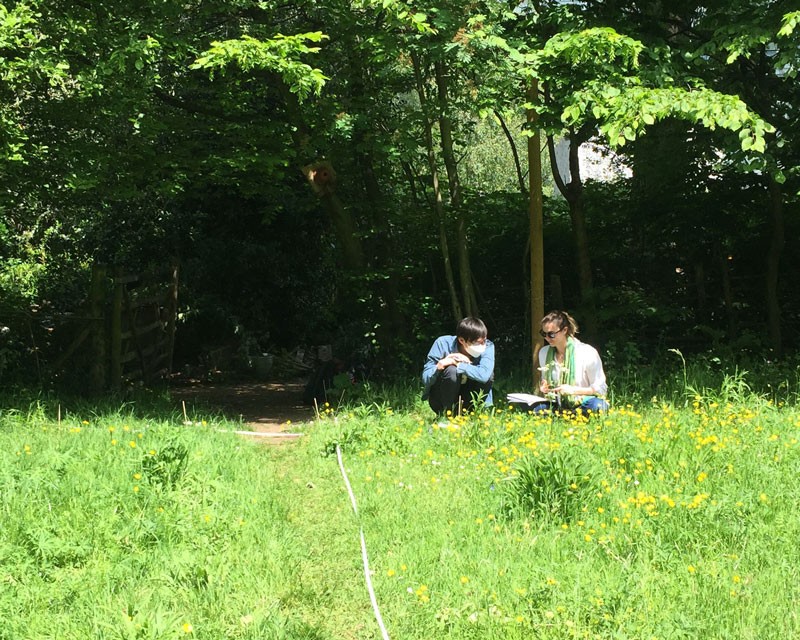 Nell Pates with a friend doing quadrat surveys in a field