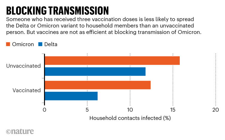 TRANSMISSION BLOCKING.  The diagram shows that vaccinated people are less likely to spread the Delta or Omicron variant to their household.