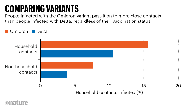 COMPARISON OF VARIANTS.  Diagram showing that the Omicron variant is easier to pass than Delta regardless of vaccination status.