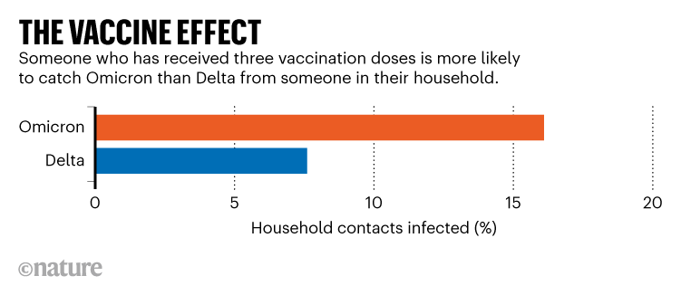 VACCINE EFFECT.  The chart shows that having 3 vaccine doses is less effective at preventing Omicron than Delta variants.