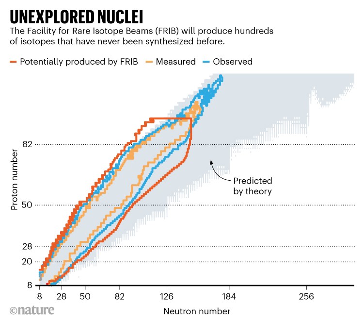 NOYAUX INEXPLORÉS.  Graphique montrant les isotopes mesurés et observés par rapport à ceux qui seront potentiellement produits par FRIB.