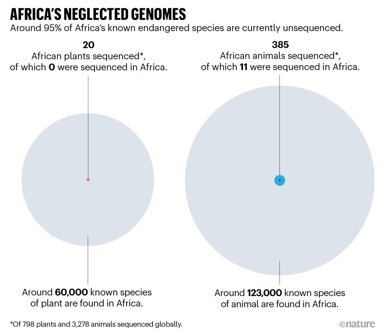 Africa's neglected genomes. Scaled circles comparing how many African plant and animals have been sequenced to known totals.