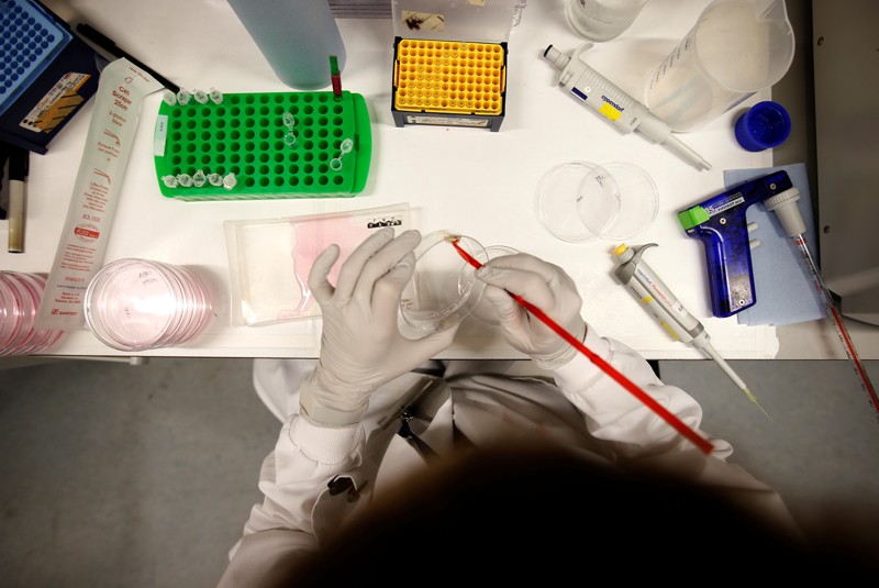 An overhead view of a scientist working in a laboratory