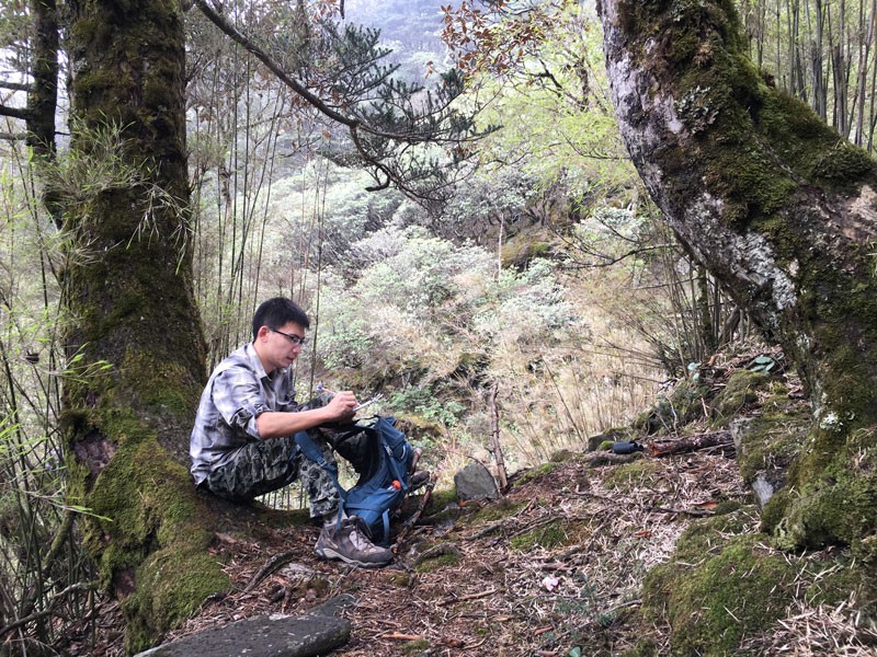 Feng Wang studies wild animals in a wood in southwestern China's Yunnan province.