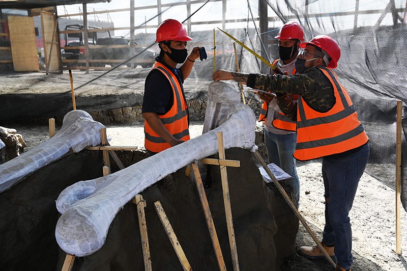 Paleontólogos trabalham na preservação dos esqueletos de mamutes encontrados durante uma recente escavação em Zumpango, no México.