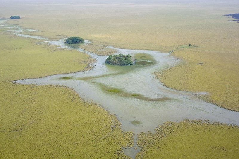 Vista aérea de uma ilhota florestal nos Llanos de Moxos, Santa Ana del Yacuma, Beni, Bolívia.