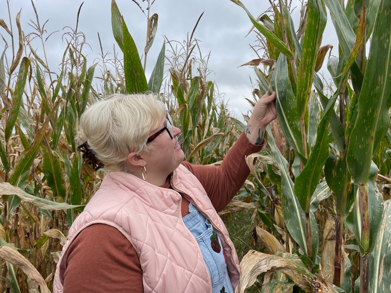 Chelsea in a corn field touching a green leaf